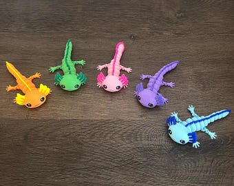 Baby Axolotl
