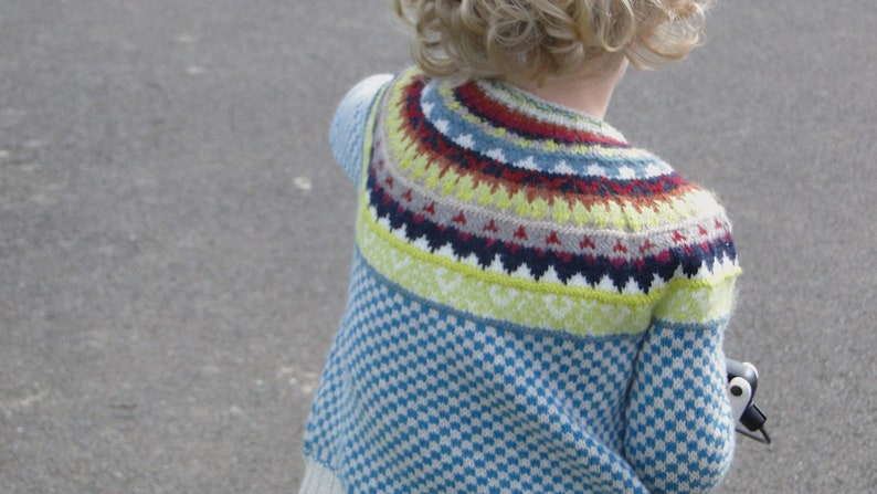 Puede incluir: Un su&eacute;ter azul y blanco a cuadros con un patr&oacute;n de punto multicolor alrededor del cuello.