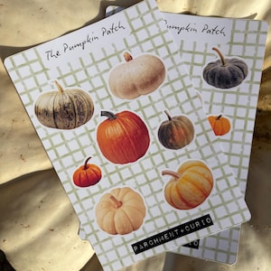Puede incluir: Dos hojas de pegatinas con ilustraciones de calabazas de varios colores y tamaños. El texto "The Pumpkin Patch" está escrito en la parte superior de cada hoja. La parte inferior de la hoja dice "PARCHMENT + CURIO".