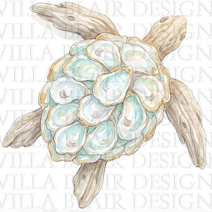 Sea Turtle Oyster Design PNG Watercolor Oyster Art with driftwood on the coast Clipart Louisiana Small Coastal Town Sublimation DOWNLOAD