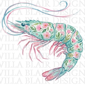 May include: Watercolor illustration of a shrimp with a floral design. The shrimp is primarily teal with pink accents, and the body is decorated with pink flowers and green leaves. The antennae are blue and pink.