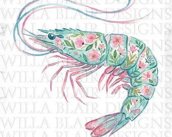 Floral Shrimp Design PNG Watercolor Coquette Shrimp by the sea on the coast Clipart Louisiana Small Coastal Town Sublimation DOWNLOAD