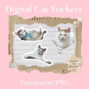 Cattitude with Nacho Digital Stickers | GoodNotes Stickers | Transparent PNG stickers | Cat Stickers | Journal Stickers | Funny Cat Stickers