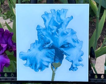 Summer Days – 3D Printed Iris Wall Art