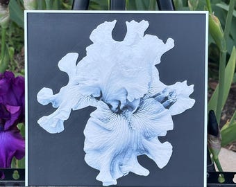 Moonlight’s Embrace – 3D Printed Iris Wall Art