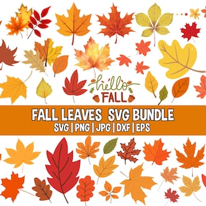 Fall leaves svg, png, jpg, dxf,Fall svg,Fall leaf svg,Fall clipart bundle,Hand drawn leaves, Commercial use svg,Cut files, Thanks giving SVG