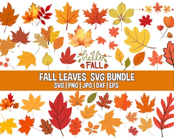 May include: A collection of colorful autumn leaves in various shapes and sizes, including maple and oak leaves, in shades of red, orange, and yellow. The phrase "hello FALL" is written in a script font. The text "FALL LEAVES SVG BUNDLE" is displayed below the leaves.