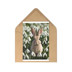 Conjunto de cartões postais de coelho de primavera | 7 cartões de Páscoa, papelaria de coelho fofo, cartões comemorativos, decoração de primavera, presentes para amantes da natureza