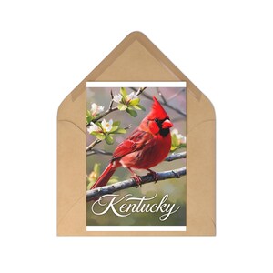 Conjunto de cartões postais do Kentucky Cardinal | Saudações com tema da natureza | Perfeito para lembranças, presentes ou decoração de casa | Coleção de 7 peças