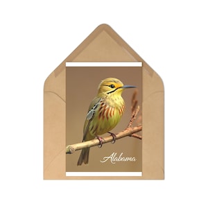 Set di cartoline naturalistiche - Fotografia artistica di uccelli, perfette per scrivere appunti, regali, oggetti da collezione, decorazioni per la casa, Alabama