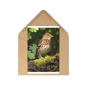 Naturbezogene Postkarten Set, Vogel-Illustration, Perfekt für Dankesnotizen, Briefe schreiben, Briefpapier-Geschenke, Wohnkultur