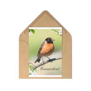 Set di cartoline con uccelli del Connecticut, saluti a tema naturalistico, ideali per collezionisti, regali, decorazioni per la casa, ricordi di viaggio, appunti di scrittura