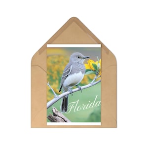 Florida Bird Postkarten Set, Vintage-Stil Grußkarten, Naturliebhaber Geschenke, Reise-Souvenirs, Vogelbeobachter Kunst, Wohnkultur