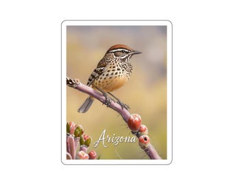 Arizona Bird Die-Cut Stickers, Perfect for Nature Lovers, Laptop Decor, Gifts for Birdwatchers, Scenic Stickers