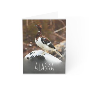 Prachtige wenskaarten Alaska-vogel - uniek briefpapier, natuurliefhebbers, ansichtkaarten, bedankkaarten
