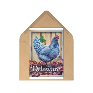 Lot de 7 cartes postales Poulet charmant, 7 cartes Delaware Farm Life, décoration rustique, cartes de voeux, cadeau pour les amoureux des animaux, style campagnard