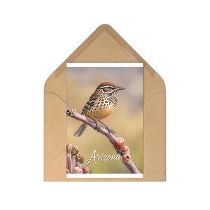 Set di cartoline dell'Arizona ispirate alla natura / Perfette per gli amanti degli uccelli, regali, souvenir, decorazioni per la casa, ricordi di viaggio