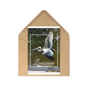 Set di cartoline con uccelli della Louisiana / Regali per gli amanti della natura, saluti panoramici, ricordi di viaggio, souvenir unici