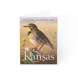 Grußkarten - Schöne Vogel-Designs, perfekt für jeden Anlass - Senden Sie Liebe und glückliche Gedanken, besondere Momente, kunstvoll