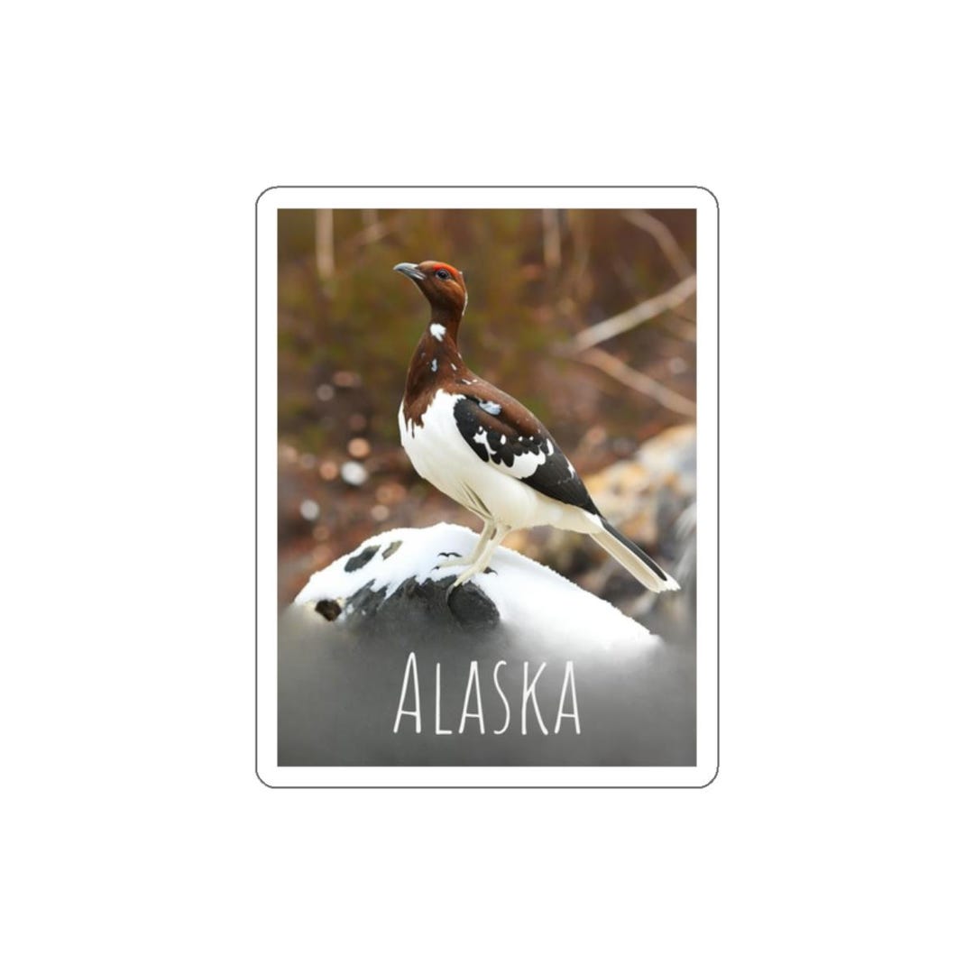 Alaska Wildlife Die-cut Stickers for Nature Lovers, Travel Decor ...