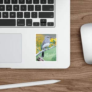 Pegatinas troqueladas de aves de Florida, regalo para amantes de la naturaleza, decoración para diario, pegatinas para portátil, accesorios para observación de aves, decoración de viaje