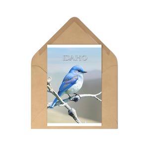 Cartoline di uccelli dell'Idaho, affascinanti cartoline artistiche naturalistiche, ricordi panoramici dell'Idaho, perfette per collezionisti o regali, cartoline in stile vintage,