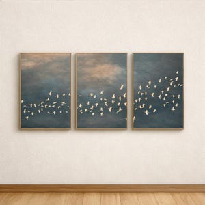 Peut inclure: Ensemble de trois impressions encadrées. Chaque œuvre représente un vol d'oiseaux blancs sur un ciel bleu-gris et beige. Les cadres dorés ajoutent une touche d'élégance. Thème : nature et sérénité.