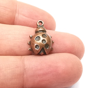 Puede incluir: Un amuleto de mariquita de color cobre con manchas negras y un bucle para sujetarlo a un collar o pulsera.