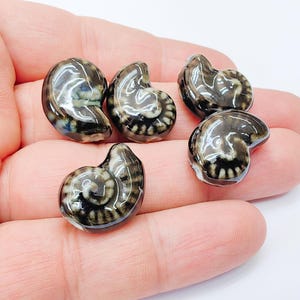 Pode incluir: Cinco fósseis de amonites de cerâmica brilhante em tons de castanho, preto e branco. Os fósseis têm uma forma espiral e são exibidos sobre um fundo claro. As peças de cerâmica têm uma superfície refletora.