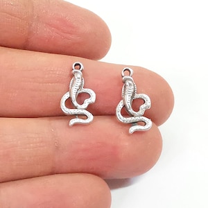 May include: Two silver snake charms with a coiled design. The charms have a loop at the top for attaching to jewelry.