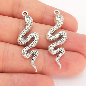 May include: Two silver snake charms with a textured surface. The snake charms are coiled and have a detailed design.