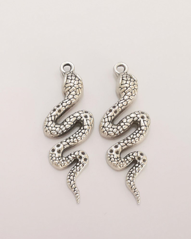 May include: Two silver snake charms with a detailed, textured design. The charms are perfect for adding a touch of whimsy to jewelry projects.