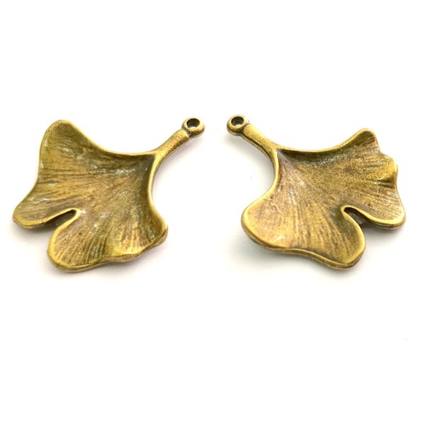 2 Ginko Leaf Charms Antique Bronze Plated Charms (33x27mm)  G18560
