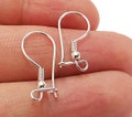 Solid Sterling Silver Earring Hook 925 Silver Earring Wire Findings (20mm) G30005