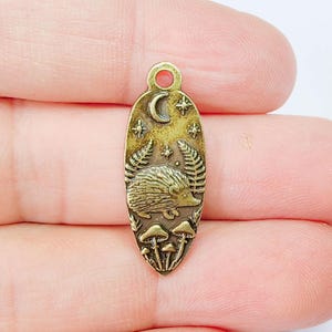 Op de afbeelding: Een bronzen ovale hanger met een gedetailleerd ontwerp. Het toont een egel, maan, sterren, varens en paddenstoelen. De hanger heeft een klein gaatje aan de bovenkant om op te hangen. Thema: natuur en bosdieren.