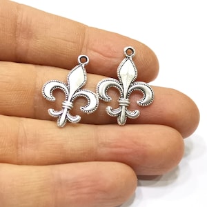 4 Silver Charms Antique Silver Plated Charms (26x19mm)  G16726