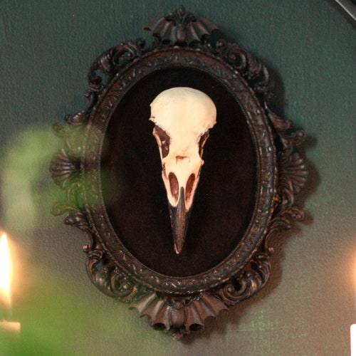 Framed Crow Skull, gothic home decor wall hanging, Halloween decoration, bird skull resin replica, Black Victorian macabre bat frame