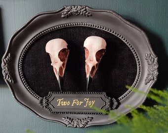 Gothic skull wall decor, framed magpie skulls, Two for Joy, gothic Home decor