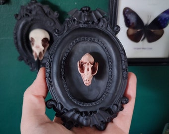 Framed Bat Skull, 3D Gothic Wall Art, Halloween Home decor