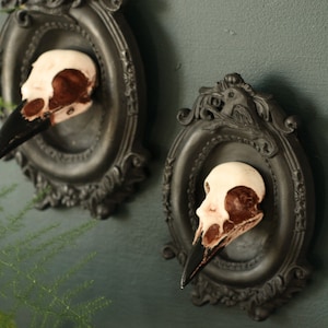 Framed Magpie Skull, 3D Gothic Wall Art, Halloween Home decor image 3