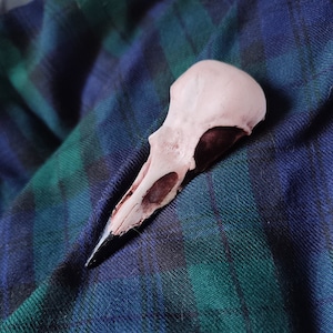 Broche grande de calavera de cuervo para falda escocesa, réplica de resina ecológica de calavera de pájaro, accesorio gótico de bruja, regalo