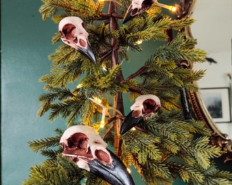Corvus collection, Raven, Crow, Magpie, Jackdaw bird replica skull bundle - dark decor gothic decorations Halloween Christmas ornaments
