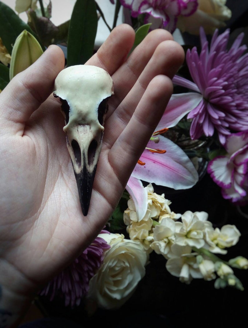 Crow skull pin Replica resin bird skull brooch goth Victorian taxidermy jewellery gift by Peculiar by Nature on Etsy image 7