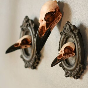 Crow and Magpie skull framed, 3D Gothic Wall Art, gothic home wall decor, set of 2 image 4