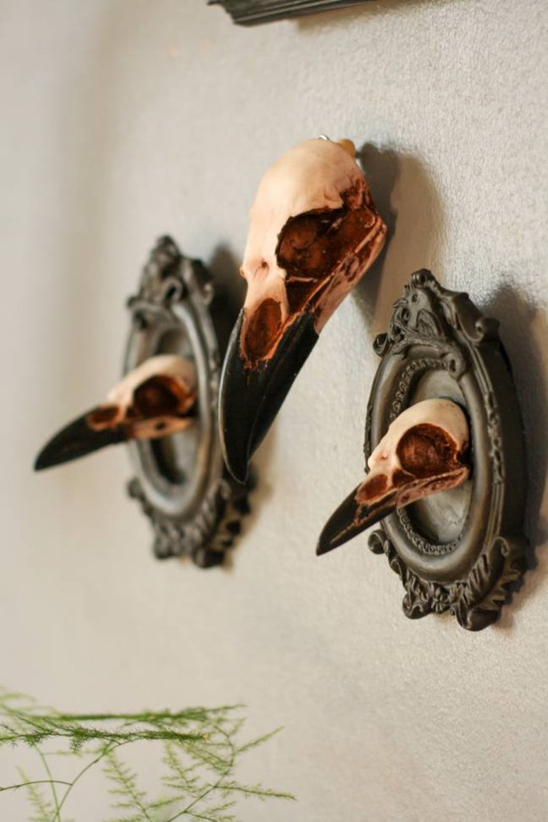 Crow and Magpie skull framed, 3D Gothic Wall Art, gothic home wall decor, set of 2 image 4