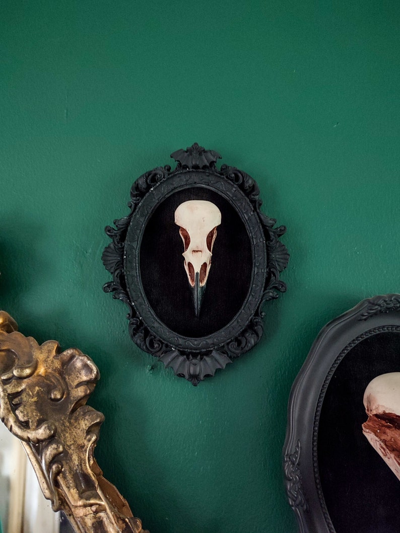 Framed Crow Skull, gothic home decor wall hanging, Halloween decoration, bird skull eco resin replica, Black Victorian macabre bat frame image 7