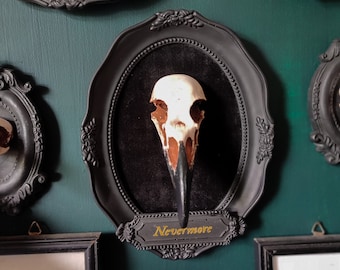 Framed Raven Skull, gothic home decor 3d wall art, eco resin bird skull replica, Black Victorian Halloween frame