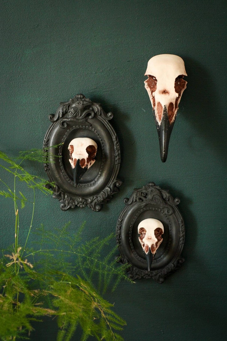 Framed Magpie Skull, 3D Gothic Wall Art, Halloween Home decor image 5