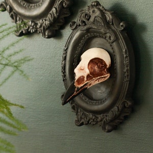 Framed Magpie Skull, 3D Gothic Wall Art, Halloween Home decor image 2