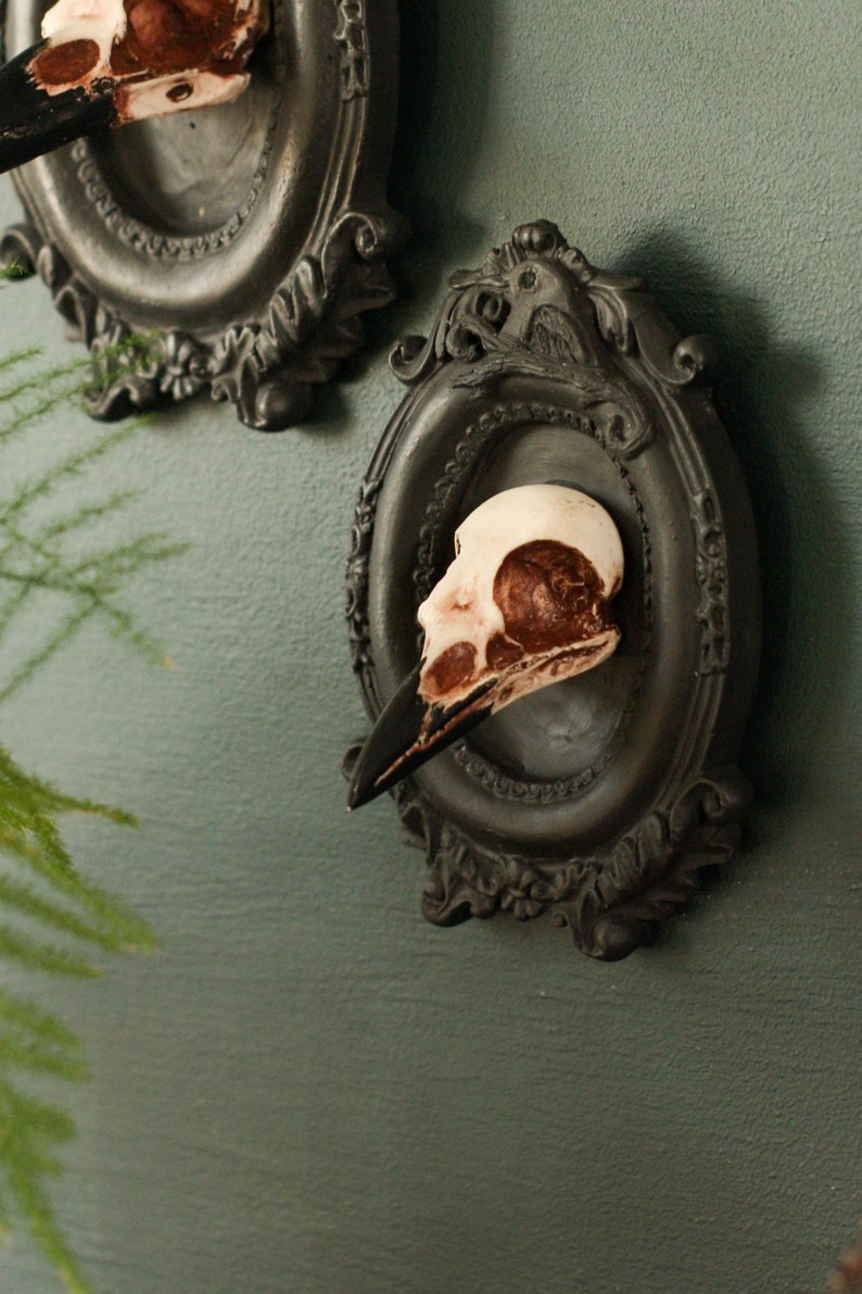 Framed Magpie Skull, 3D Gothic Wall Art, Halloween Home decor image 2